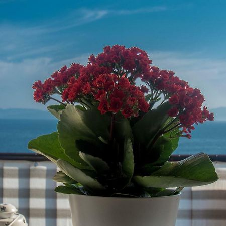 Apartment Paradise View リエカ エクステリア 写真
